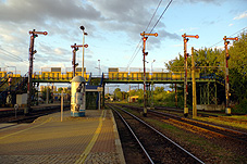 min 790 4.jpg